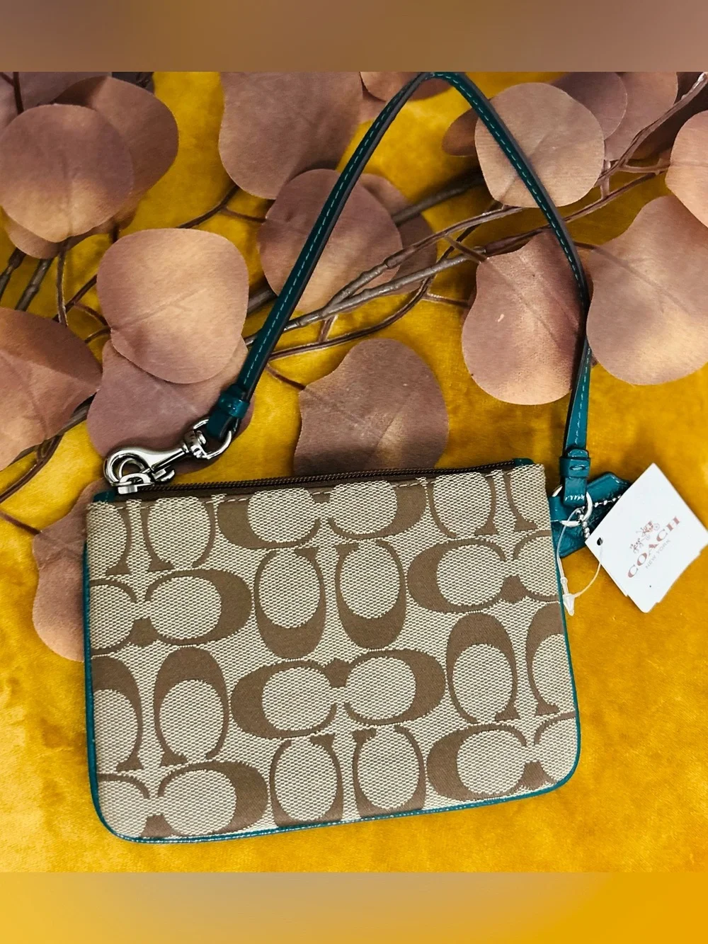 Coach Signature Canvas Wristlet with Teal Trim
